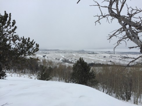 fat biking landscape